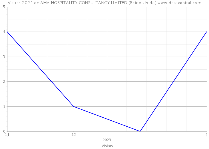 Visitas 2024 de AHM HOSPITALITY CONSULTANCY LIMITED (Reino Unido) 