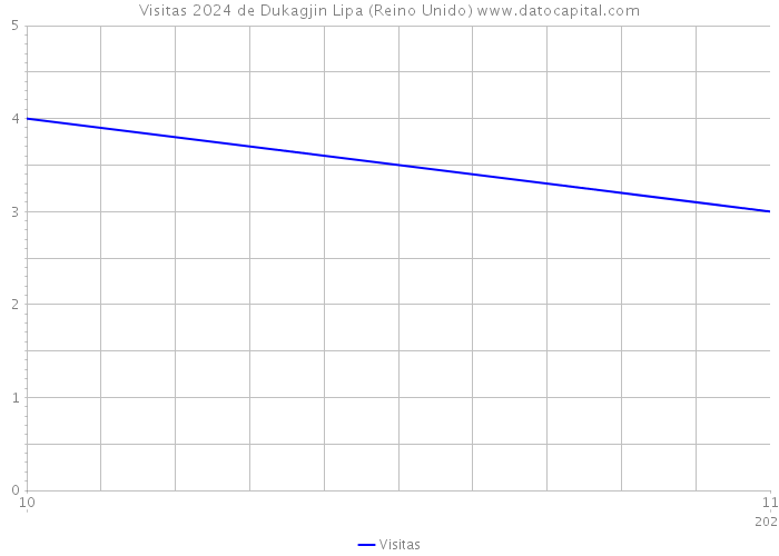 Visitas 2024 de Dukagjin Lipa (Reino Unido) 