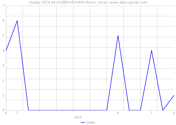 Visitas 2024 de KAZEM KEYHANI (Reino Unido) 