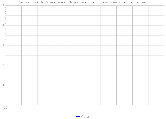 Visitas 2024 de Rameshwaran Nageswaran (Reino Unido) 