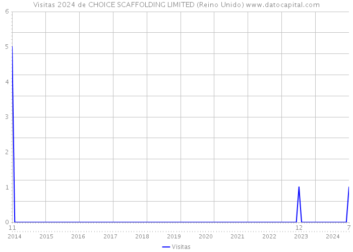 Visitas 2024 de CHOICE SCAFFOLDING LIMITED (Reino Unido) 