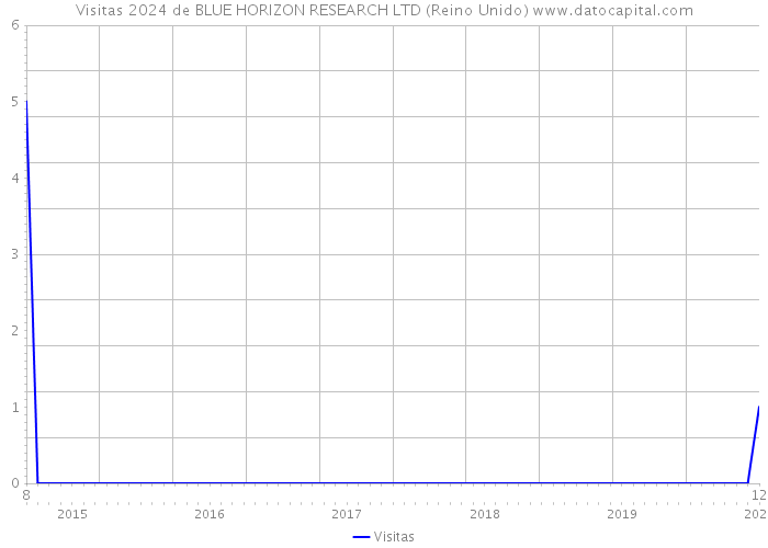 Visitas 2024 de BLUE HORIZON RESEARCH LTD (Reino Unido) 