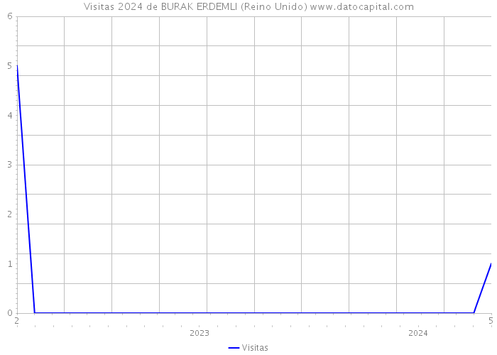 Visitas 2024 de BURAK ERDEMLI (Reino Unido) 