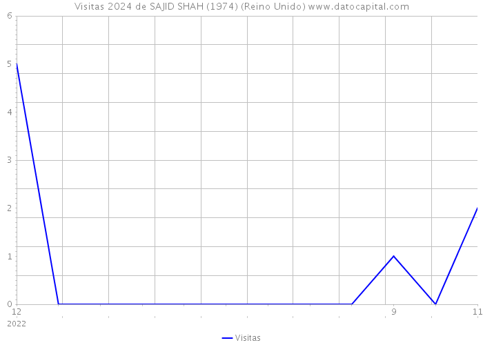 Visitas 2024 de SAJID SHAH (1974) (Reino Unido) 