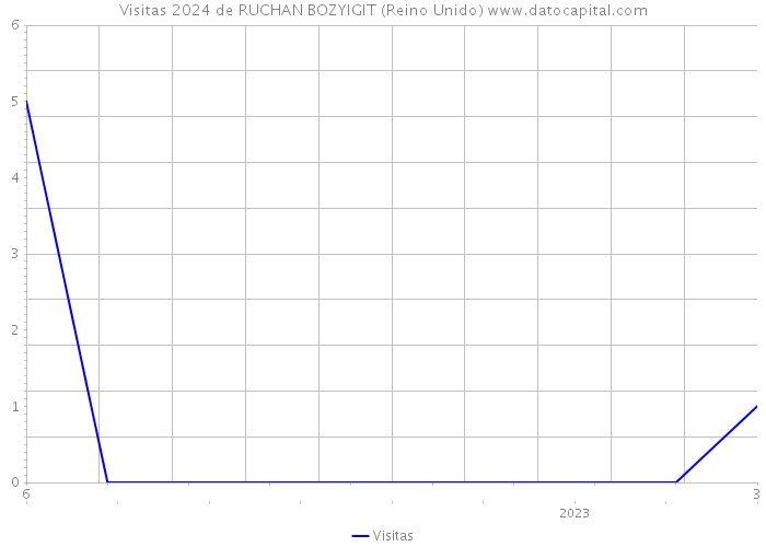 Visitas 2024 de RUCHAN BOZYIGIT (Reino Unido) 