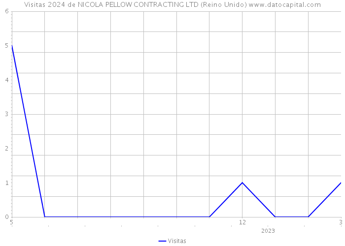 Visitas 2024 de NICOLA PELLOW CONTRACTING LTD (Reino Unido) 