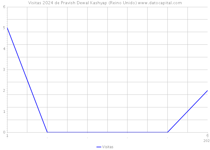 Visitas 2024 de Pravish Dewal Kashyap (Reino Unido) 