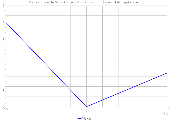 Visitas 2024 de SHERAZ KARIMI (Reino Unido) 