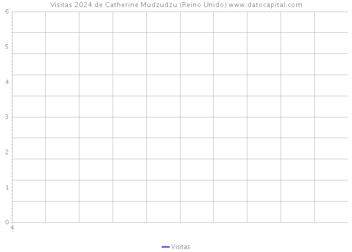 Visitas 2024 de Catherine Mudzudzu (Reino Unido) 