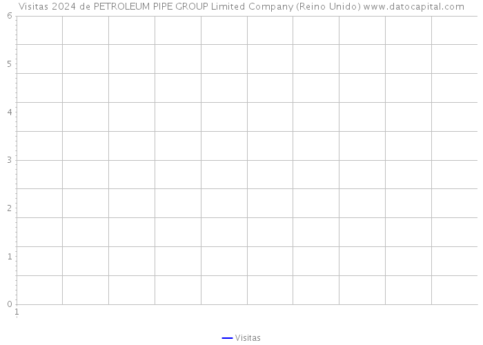Visitas 2024 de PETROLEUM PIPE GROUP Limited Company (Reino Unido) 
