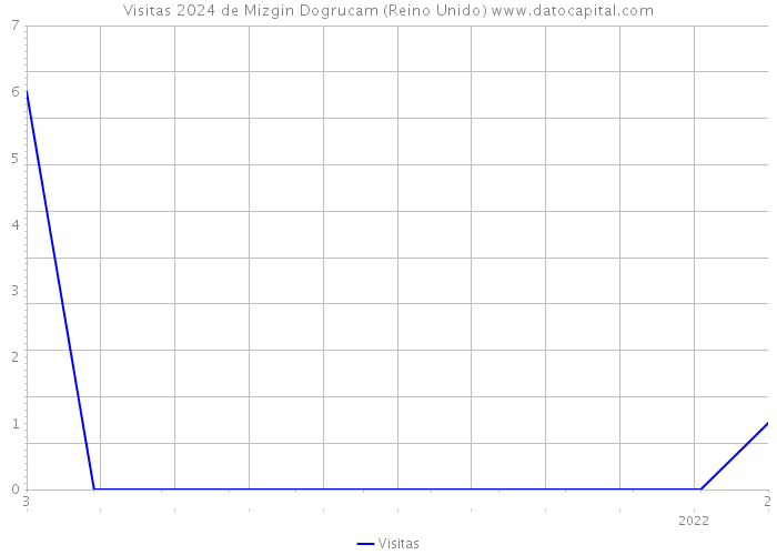 Visitas 2024 de Mizgin Dogrucam (Reino Unido) 