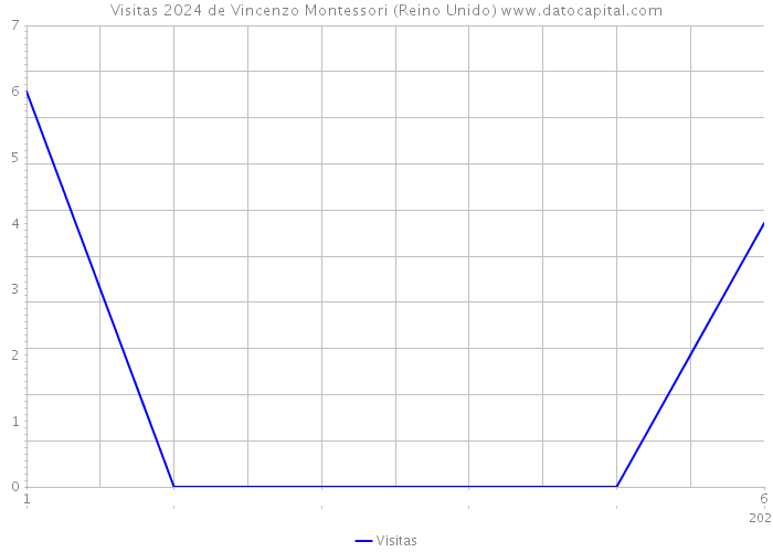 Visitas 2024 de Vincenzo Montessori (Reino Unido) 