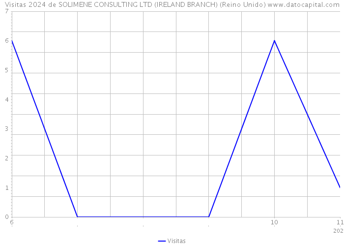 Visitas 2024 de SOLIMENE CONSULTING LTD (IRELAND BRANCH) (Reino Unido) 