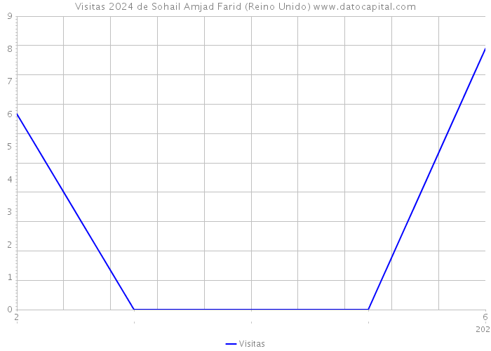 Visitas 2024 de Sohail Amjad Farid (Reino Unido) 