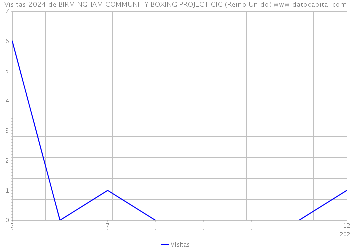 Visitas 2024 de BIRMINGHAM COMMUNITY BOXING PROJECT CIC (Reino Unido) 