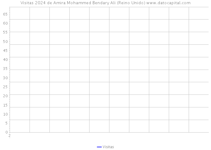 Visitas 2024 de Amira Mohammed Bendary Ali (Reino Unido) 