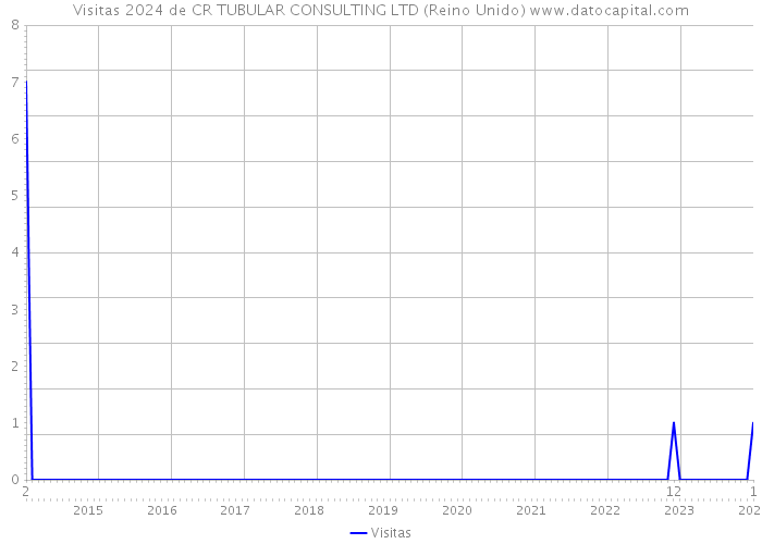 Visitas 2024 de CR TUBULAR CONSULTING LTD (Reino Unido) 