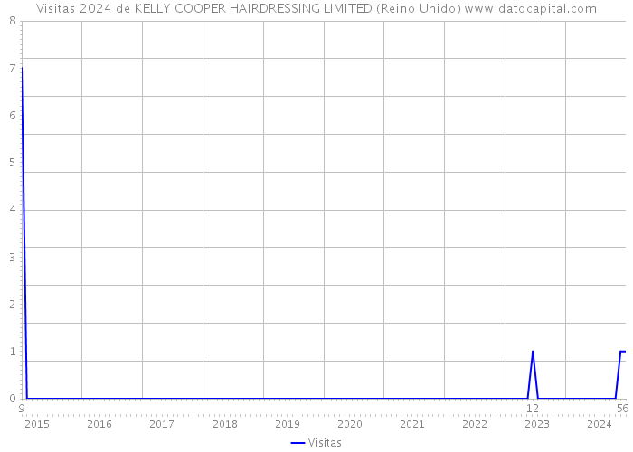 Visitas 2024 de KELLY COOPER HAIRDRESSING LIMITED (Reino Unido) 