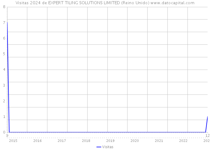 Visitas 2024 de EXPERT TILING SOLUTIONS LIMITED (Reino Unido) 