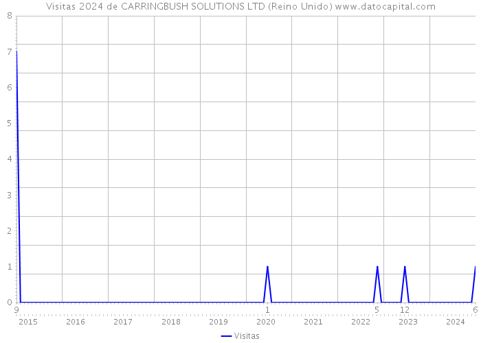 Visitas 2024 de CARRINGBUSH SOLUTIONS LTD (Reino Unido) 