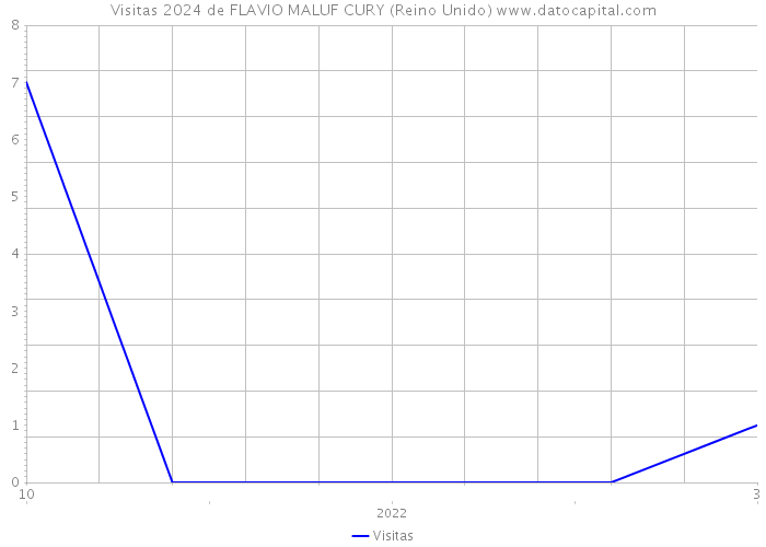 Visitas 2024 de FLAVIO MALUF CURY (Reino Unido) 