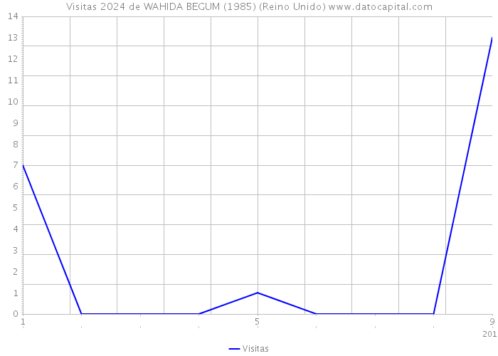 Visitas 2024 de WAHIDA BEGUM (1985) (Reino Unido) 