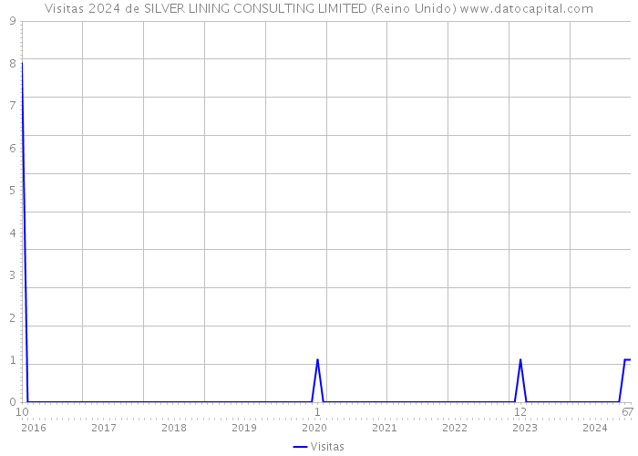 Visitas 2024 de SILVER LINING CONSULTING LIMITED (Reino Unido) 