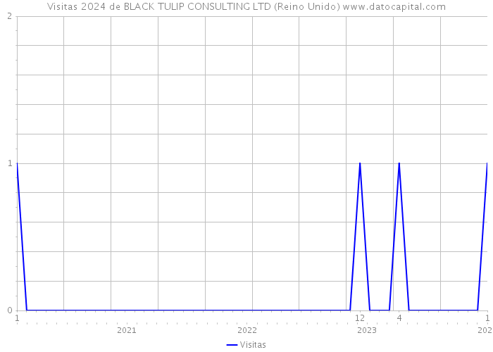 Visitas 2024 de BLACK TULIP CONSULTING LTD (Reino Unido) 