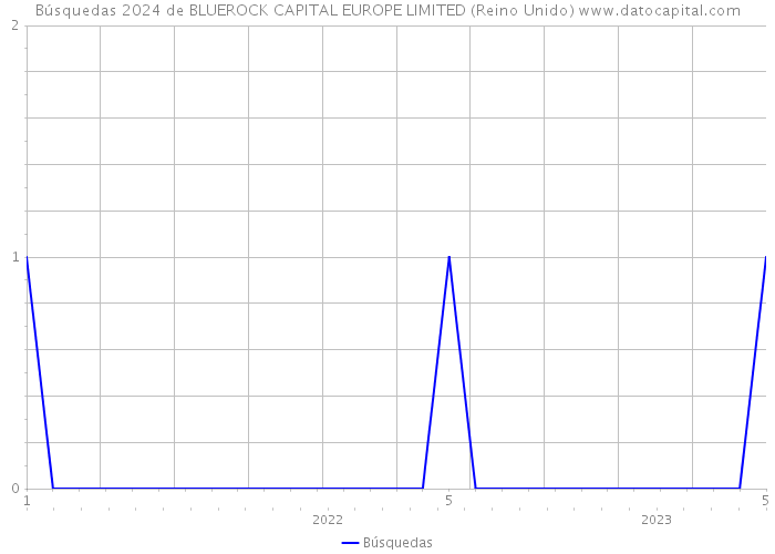 Búsquedas 2024 de BLUEROCK CAPITAL EUROPE LIMITED (Reino Unido) 