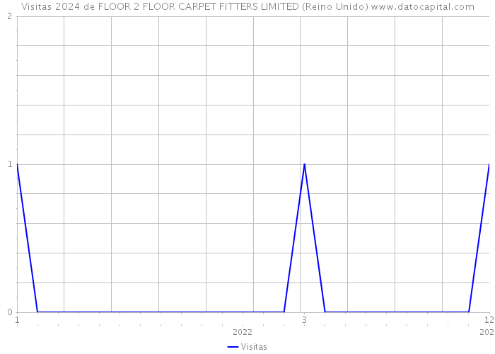 Visitas 2024 de FLOOR 2 FLOOR CARPET FITTERS LIMITED (Reino Unido) 