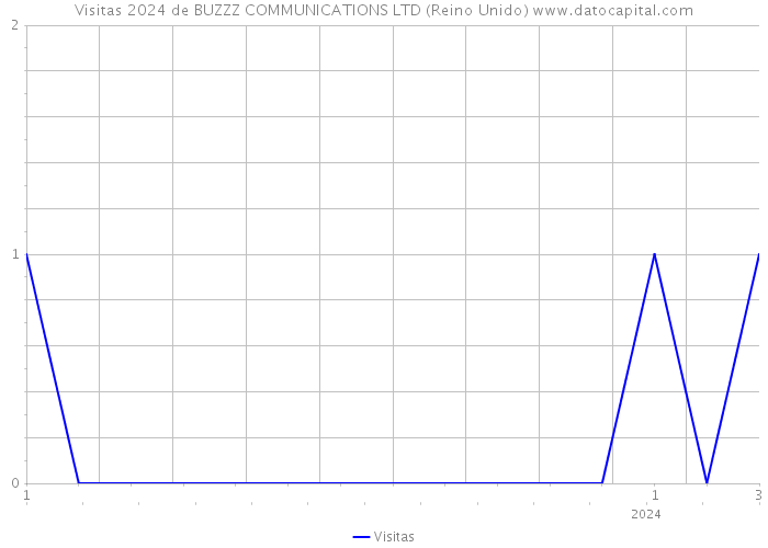Visitas 2024 de BUZZZ COMMUNICATIONS LTD (Reino Unido) 