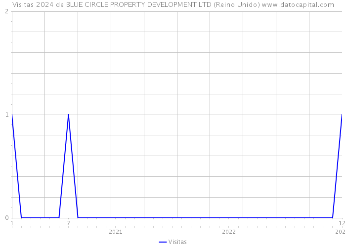 Visitas 2024 de BLUE CIRCLE PROPERTY DEVELOPMENT LTD (Reino Unido) 