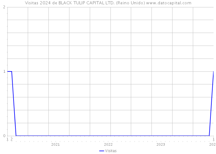 Visitas 2024 de BLACK TULIP CAPITAL LTD. (Reino Unido) 