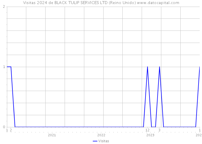 Visitas 2024 de BLACK TULIP SERVICES LTD (Reino Unido) 