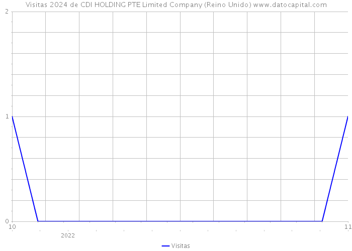 Visitas 2024 de CDI HOLDING PTE Limited Company (Reino Unido) 