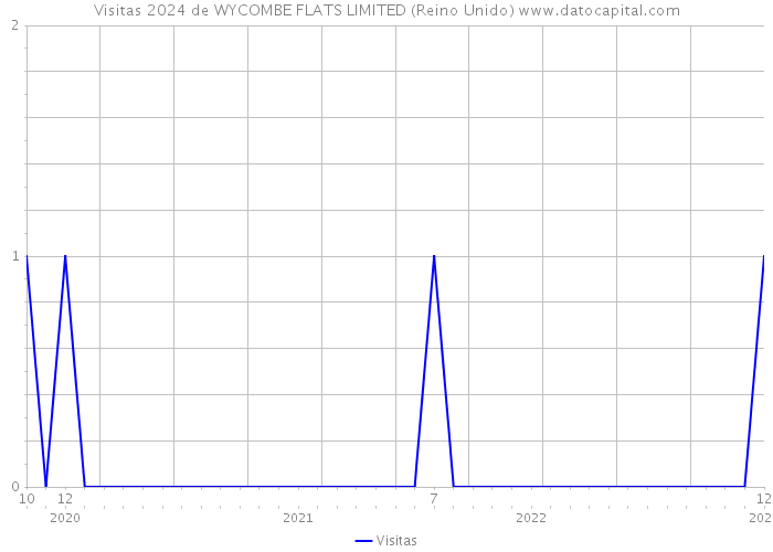 Visitas 2024 de WYCOMBE FLATS LIMITED (Reino Unido) 