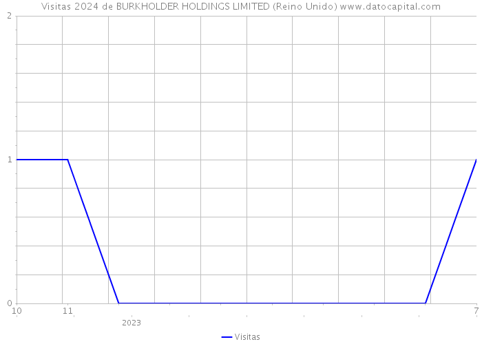 Visitas 2024 de BURKHOLDER HOLDINGS LIMITED (Reino Unido) 