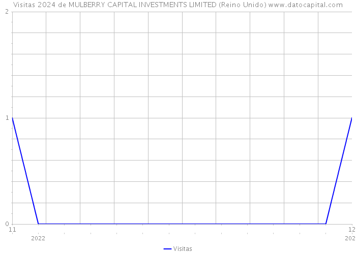 Visitas 2024 de MULBERRY CAPITAL INVESTMENTS LIMITED (Reino Unido) 