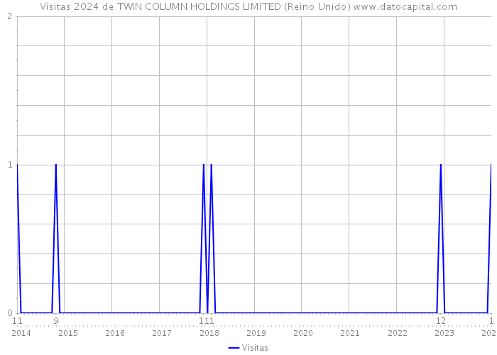 Visitas 2024 de TWIN COLUMN HOLDINGS LIMITED (Reino Unido) 