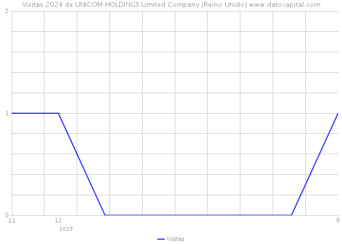 Visitas 2024 de UNICOM HOLDINGS Limited Company (Reino Unido) 
