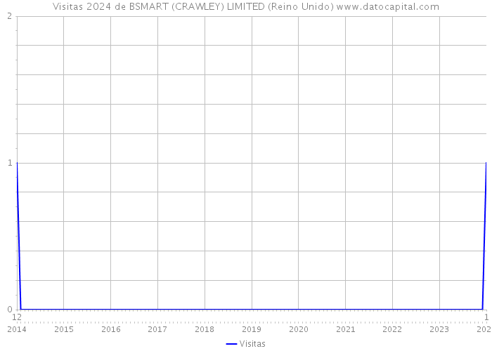 Visitas 2024 de BSMART (CRAWLEY) LIMITED (Reino Unido) 