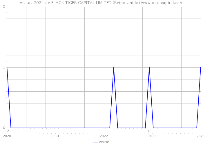 Visitas 2024 de BLACK TIGER CAPITAL LIMITED (Reino Unido) 