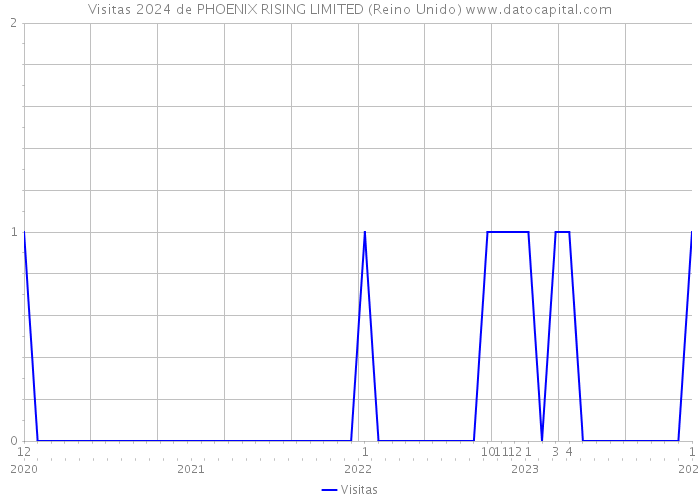 Visitas 2024 de PHOENIX RISING LIMITED (Reino Unido) 