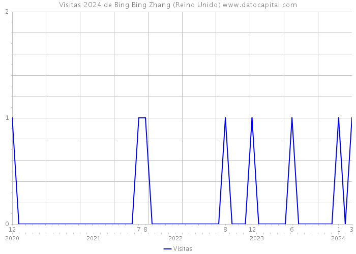 Visitas 2024 de Bing Bing Zhang (Reino Unido) 