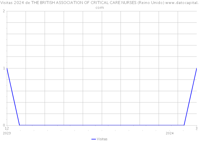 Visitas 2024 de THE BRITISH ASSOCIATION OF CRITICAL CARE NURSES (Reino Unido) 