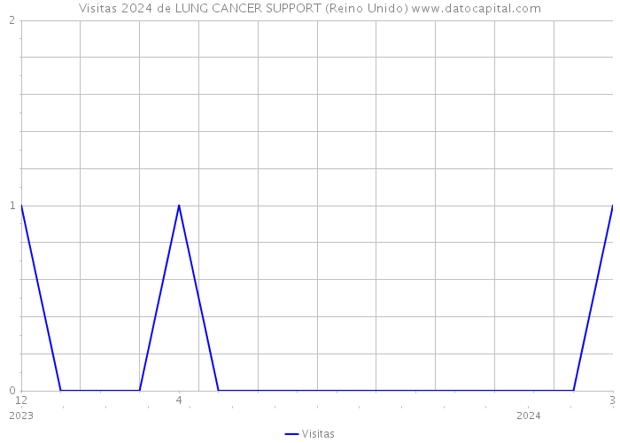 Visitas 2024 de LUNG CANCER SUPPORT (Reino Unido) 