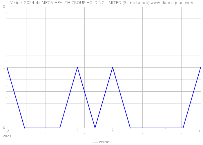 Visitas 2024 de MEGA HEALTH GROUP HOLDING LIMITED (Reino Unido) 