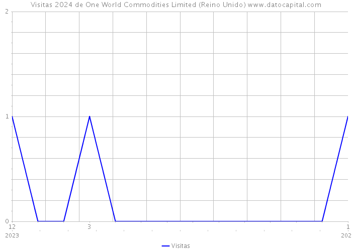 Visitas 2024 de One World Commodities Limited (Reino Unido) 