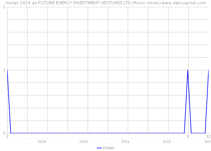 Visitas 2024 de FUTURE ENERGY INVESTMENT VENTURES LTD (Reino Unido) 