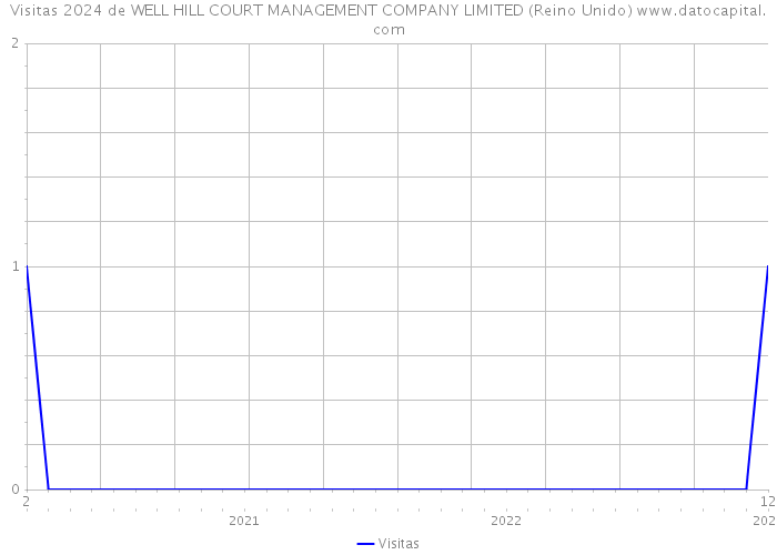 Visitas 2024 de WELL HILL COURT MANAGEMENT COMPANY LIMITED (Reino Unido) 